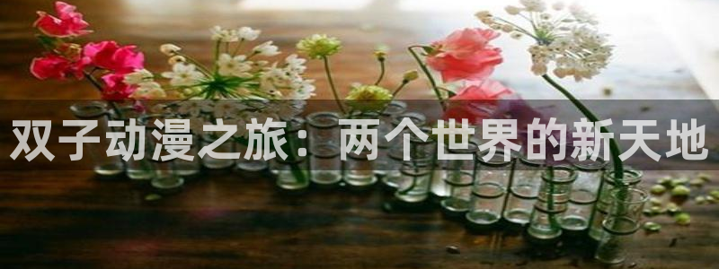 樱花动漫(：双子动漫之旅：两个世界的新天地