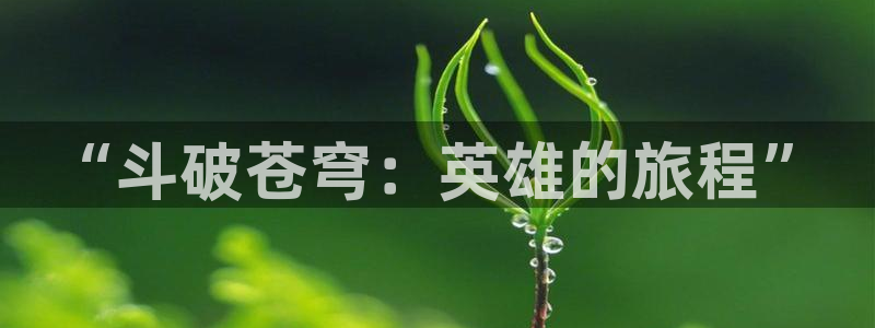 樱花动漫网页：“斗破苍穹：英雄的旅程”