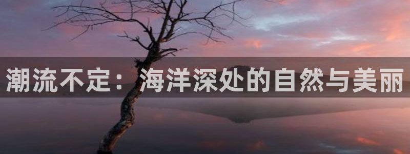 樱花动漫呢：潮流不定：海洋深处的自然与美丽