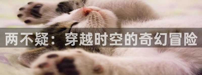 樱花动漫免费看：两不疑：穿越时空的奇幻冒险