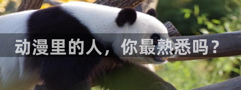 樱花动漫火影忍者：动漫里的人，你最熟悉吗？